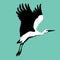 Stork vector illustration style Flat