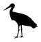 Stork vector silhouette illustration isolated on white background.