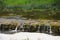 Stork and Venta waterfall, Kuldiga river, Latvia