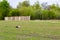 A stork walks in a field near the village