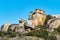 Storks colony in a protected area at Los Barruecos Natural Monument, Malpartida de Caceres, Extremadura, Spain