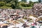 Storks and gulls on the landfill garbage