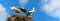 Storks on nest on blue sky background, couple of white storks stands at home