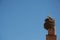 Storks and nest on a chimney