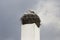 Storks nest on fireplace chimney