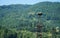 Storks nest on a pole in a village in the Carpathian Mountains.