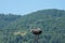 Storks nest on a pole in a village in the Carpathian Mountains.