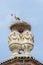 Storks nest in Racconigi Castle.