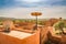 Storks nest ready on the roof of a house in Ouarzazate, Morocco