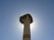 Storks nest, Volubilis, Marocco