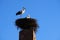 Storks nesting high up on a tower in Marrekech