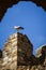 Storks on ruins of castle in Laguna de Negrillos, Spain