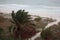 Storm on the beach. The seas are raging and the skies show the tropical storm as the power of nature is demonstrated. palm tree pu