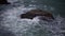 Storm in the Black Sea. Big waves break on the underwater rock