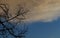 Storm Brewing above Dead Tree