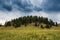 Storm clouds above a forested peak and grassy plains in the Valles Caldera National Preserve