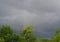 Storm clouds above the tree lines.