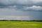 Storm clouds approach an open mustard field in Saskatchewan
