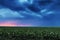 Storm clouds flying over field