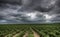 Storm Clouds Saskatchewan