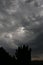 Storm clouds with silhouette pine trees in the foregrournd