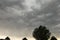 Storm clouds with silhouette pine trees in the foregrournd