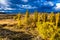 A storm comes in over the hills in the Karoo