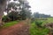 Storm damage in the Tokai forest.