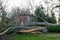 Storm damage tree felled near a house