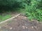 Storm drain filled with debris near cement curb and asphalt