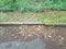 Storm drain filled with debris near cement curb and asphalt