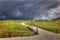 Into the Storm, Independence Pass, Colorado