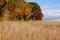 Storm King Meadow