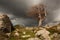 Storm in mountains