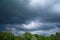 Storm over trees