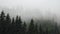 Storm Raining Clouds, Fog in Mountains on Rainy Cloudy Day Stormy Mist Smoke Mystical Foggy Forest,Alpine Wood Overcast Timelapse