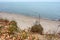 A storm-ravaged seashore, a fallen tree