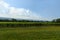 Storm rolling in over the lakeside vineyard field