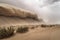 storm rolls over desert, bringing sand and dust storms with it