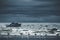 storm at sea, boat on waves, bird market, seagulls, waves, before the storm