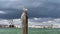 Storm in Venice, view of San Marco.