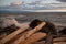 Storm waves break on the rocks in front of piles of driftwood logs along the waterfront near Victoria, BC.