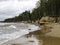 Storming sea with a thundercloud above, a lone birch tree on a the edge of a cliff,