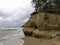 Storming sea with a thundercloud above, a lone birch tree on a the edge of a cliff,