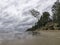 Storming sea with a thundercloud above, a lone birch tree on a the edge of a cliff,