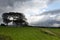 A stormy autumn day in Wales. Fields, trees and dark clouds.
