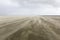 Stormy beach in the Netherlands