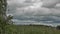 Stormy big gray storm clouds over a field in the countryside with tall grass