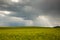 Stormy clouds over field of wheat