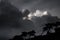 Stormy clouds over the forest of pine trees